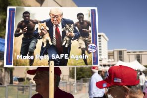 AI-generated images of Donald Trump saving pets are being used by the Republican's supporters to boost an anti-Haitian-immigrant conspiracy theory