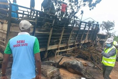 Authorities warned more bodies could be found while more than 50 cattle were burnt alive