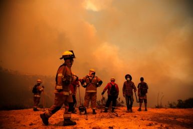 Chile wildfires
