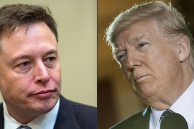 Elon Musk (L) says he will not directly back Donald Trump (R) or Joe Biden, but his X feed makes clear that his support lies with the Republican
