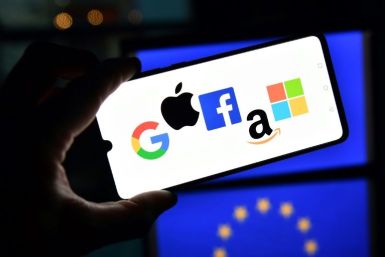 The EU's internal markets commissioner say the internet is like the "Wild West"