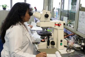 laboratory-2821207_1920