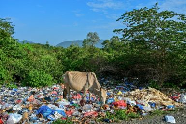 New research shows a little over half of all the plastic that entered the environment in 2020 came from burning in open fires or dumpsites