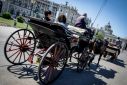 Vienna was named the world's most liveable city between 2018-20 and again since 2022