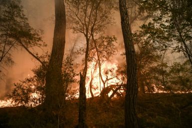 Wildfire, extreme heat and deadly flooding have afflicted large parts of the world this year
