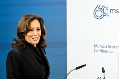 Zelensky will meet US Vice President Kamala Harris on Saturday and said he hopes the security deals with Paris and Berlin will give 'impulse to the US' efforts for Ukraine